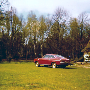 datsun2