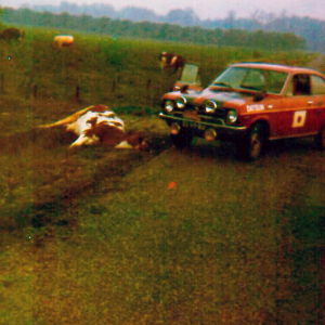 datsun5