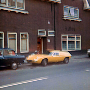 lotus-0